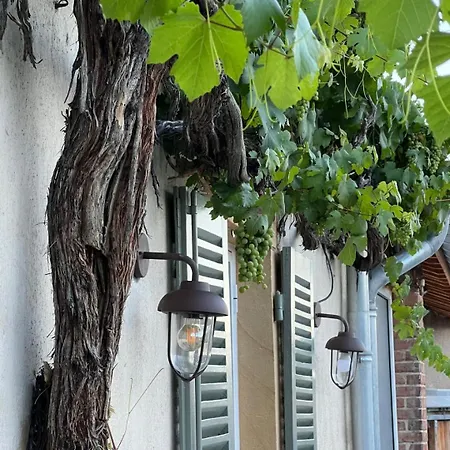 Au Pressoir De Boisy - Maison D'hote Bed and Breakfast
